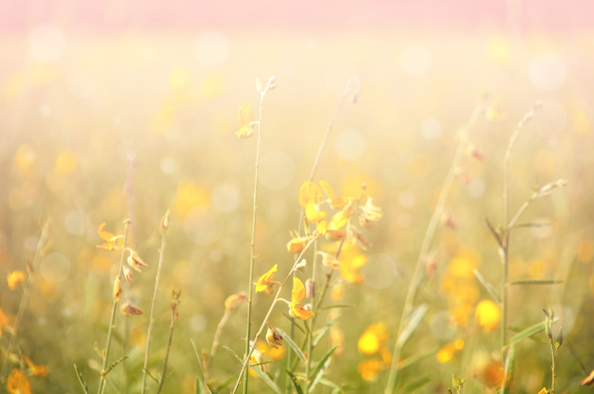 Bestattungen Hartmut Gröper